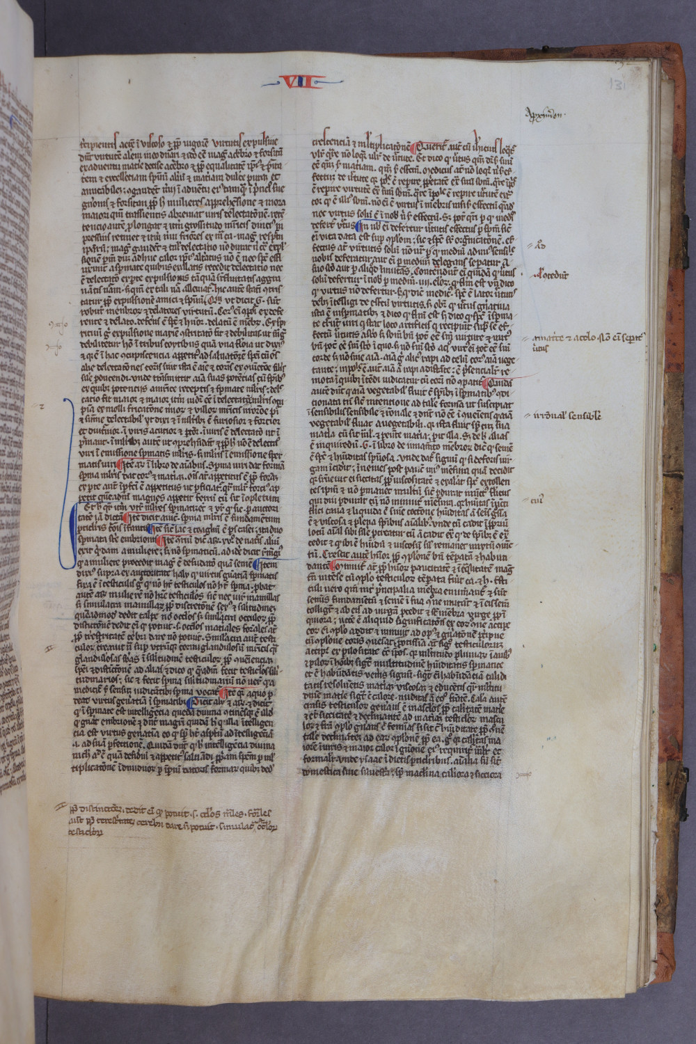 Folio 131 recto